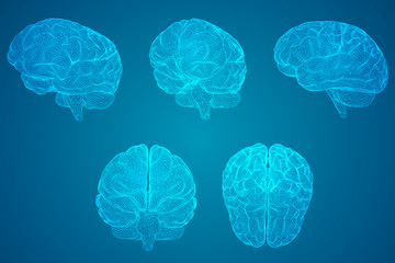 国防教育手抄报的文字