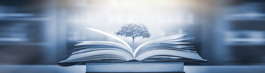 关于市公安局与区公安分局、县公安局的隶属关系