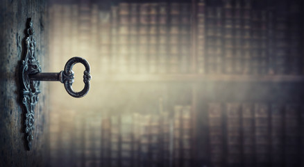 学校助残日主题活动方案