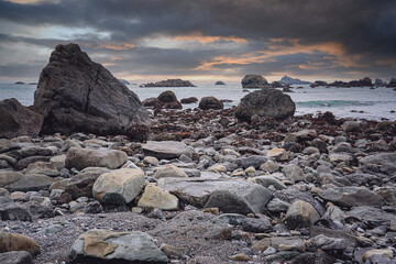 米雅（口服酪酸梭菌活菌剂）是益生菌吗？