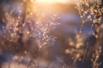 关于市公安局与区公安分局、县公安局的隶属关系