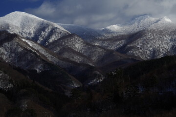 森林防火宣传内容标语有哪些-