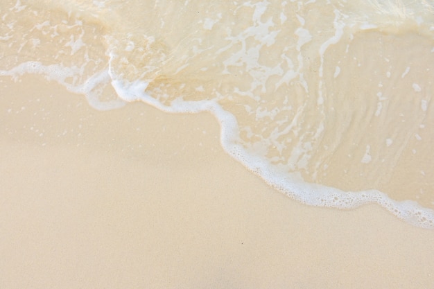 森林防火宣传内容标语有哪些-