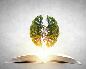 森林防火宣传内容标语有哪些-